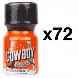 BGP Leather Cleaner COWBOY 10ml x72