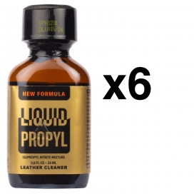 PROPYL LIQUIDO 24ml x6