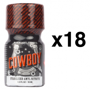 BGP Leather Cleaner COWBOY ETICHETTA NERA10ml x18