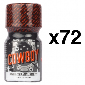 BGP Leather Cleaner COWBOY BLACK LABEL10ml x72