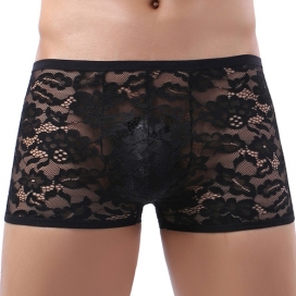 NoGenderWear Joao Lace Boxer Brief Black