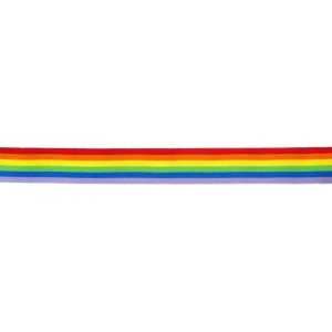 Pride Items Tira de tela arco iris 180 x 10 cm