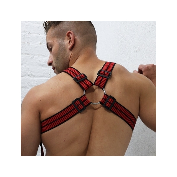 Body Hybred Breedwell Harness Red