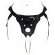 Strap-On Pleasure Harness Black