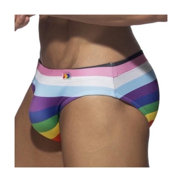 Inclusive Rainbow swim trunks