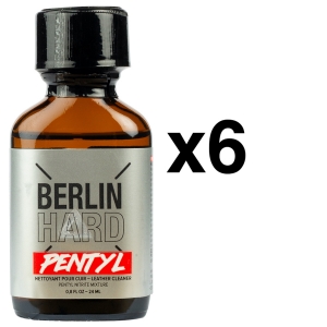 BGP Leather Cleaner BERLIJN HARDPENTYL 24ml x6