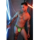 Daycrawler Jock Neon Yellow