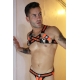 Breedwell Daycrawler Harness Black-Orange