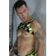 DAYCRAWLER HARNESS Neon Yellow