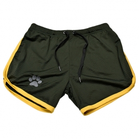 Paw Shorts Black-Yellow