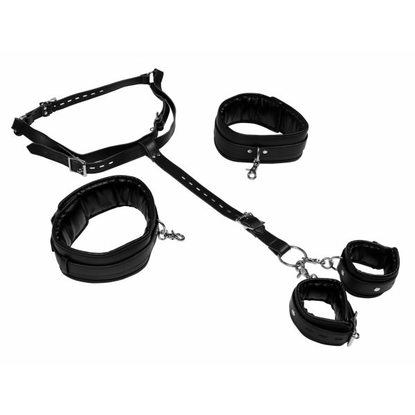 Body Harness positioner Straps and Handcuffs