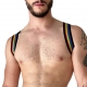 Harness Pride Eternity Black 