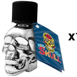 FL Leather Cleaner MINI SKULL QUICK SILVER 15ml x144