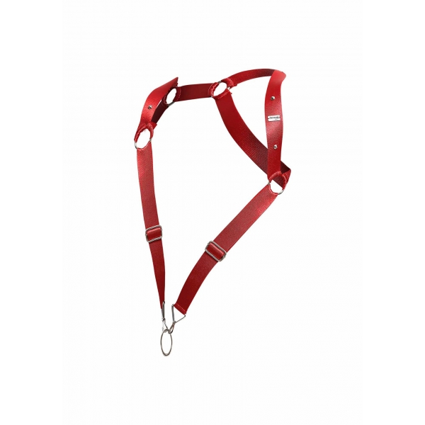 Straight Back Harness and Cockring Red