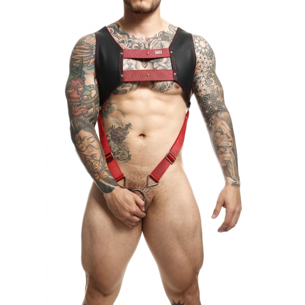 DNGEON Top Cockring Harness Red