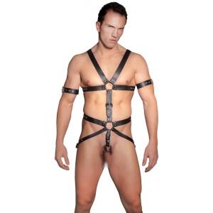 Zado Zado Full Leather Harness Black