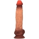 Realistischer Dildo Toto Graddy 20 x 4.5cm