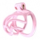 Tortille Keuschheitsgürtel S 6 x 3.4 cm Pink