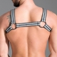 Grey Neoprene Harness