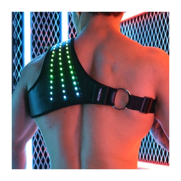 Soundwave Synergy Breedwell light harness