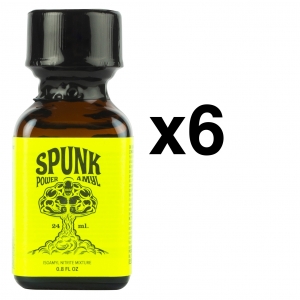 BGP Leather Cleaner SPUNK KRACHT AMYL 24ml x6