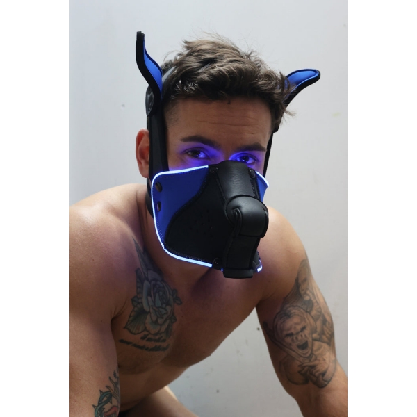 Poundtown Pup Breedwell Maske Schwarz-Blau