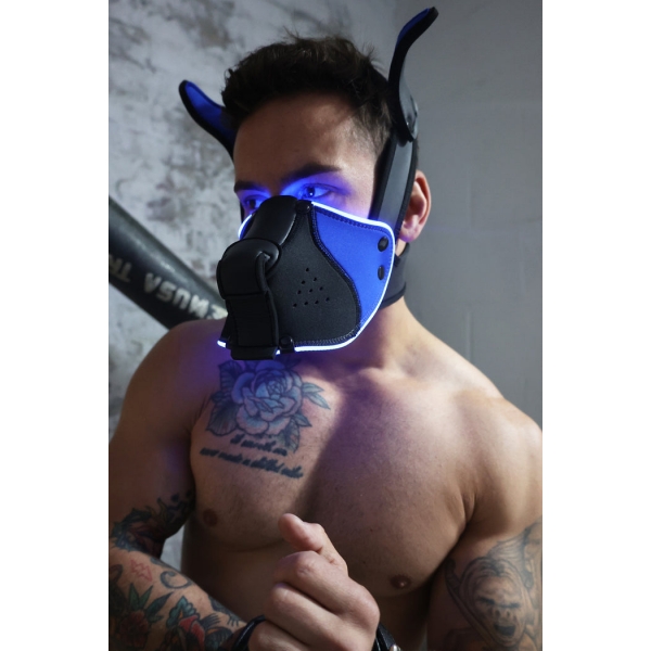 Poundtown Pup Breedwell Mask Black-Blue