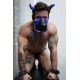 Masque Puppy POUNDTOWN PUP Breedwell Noir-Bleu