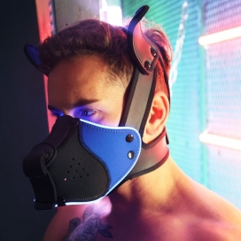 POUNDTOWN PUP MASK 2.0 Blue