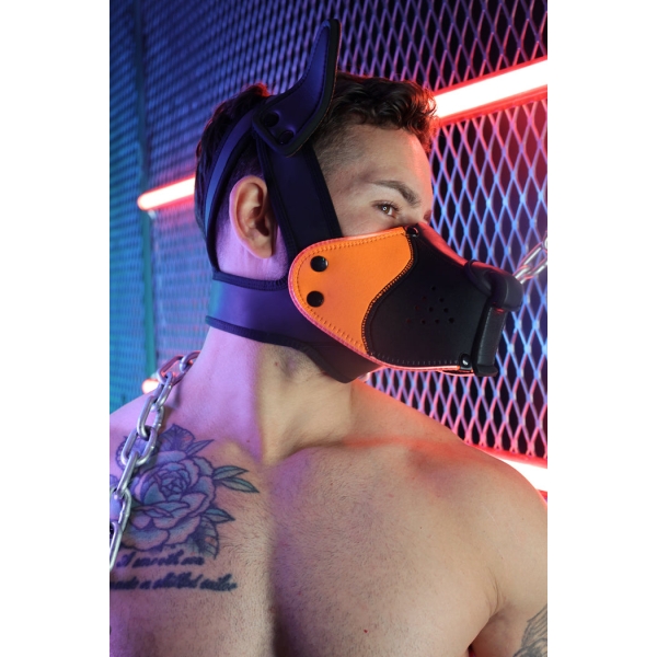 Poundtown Pup Breedwell Maschera nero-arancio