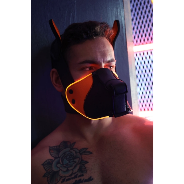 Poundtown Pup Breedwell Maske Schwarz-Orange