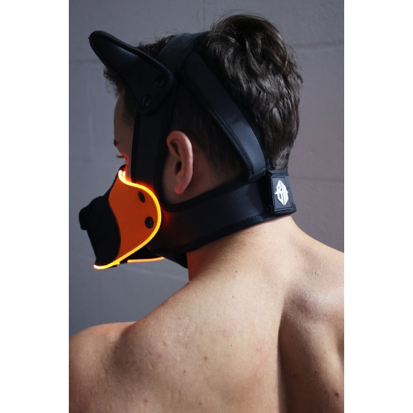 Poundtown Pup Breedwell Maschera nero-arancio