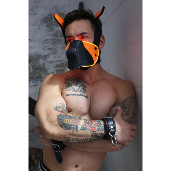 Poundtown Pup Breedwell Maschera nero-arancio