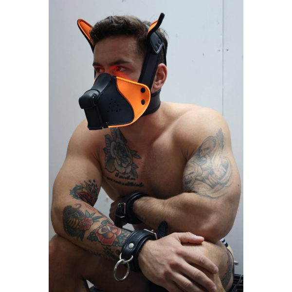 Poundtown Pup Breedwell Maschera nero-arancio