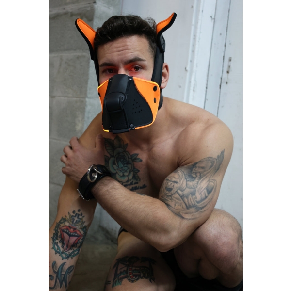 Poundtown Pup Breedwell Maschera nero-arancio