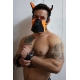 Masque Puppy POUNDTOWN PUP Breedwell Noir-Orange