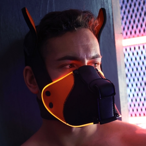 Poundtown Pup Breedwell Maschera nero-arancio