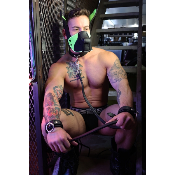 Poundtown Pup Breedwell Maske Schwarz-Grün