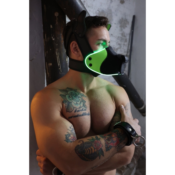 Poundtown Pup Breedwell Maske Schwarz-Grün