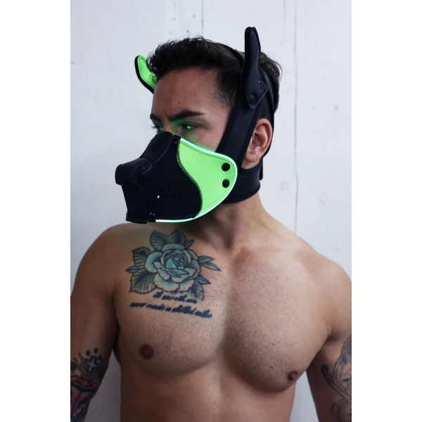 Máscara Poundtown Pup Breedwell Preto-Verde