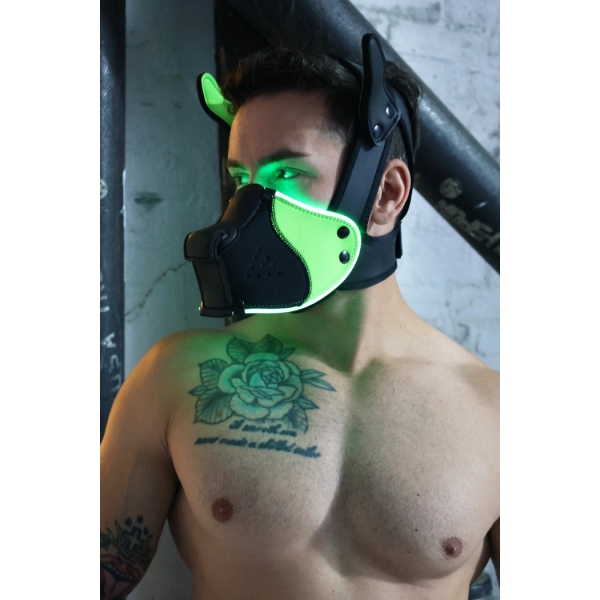 Poundtown Pup Breedwell Maske Schwarz-Grün