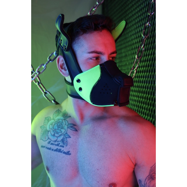 Poundtown Pup Breedwell Maschera nero-verde