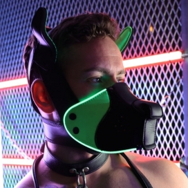 Breedwell POUNDTOWN PUP MASK 2.0 Neon Green