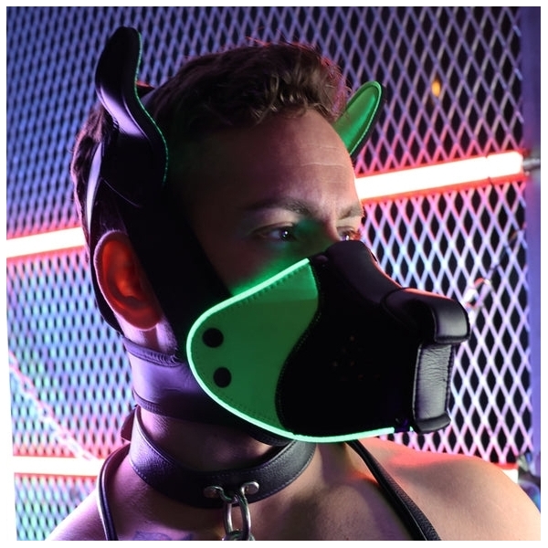 POUNDTOWN PUP MASK 2.0 Neon Green