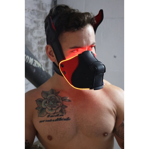 Poundtown Pup Breedwell Maske Schwarz-Rot