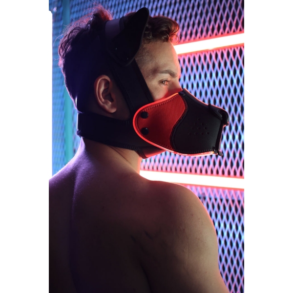 Masque Poundtown Pup Breedwell Noir-Rouge