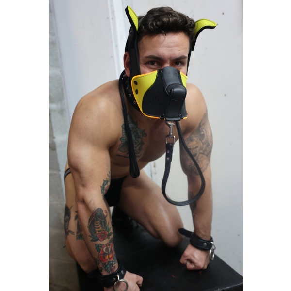 Poundtown Pup Breedwell Maske Schwarz-Gelb