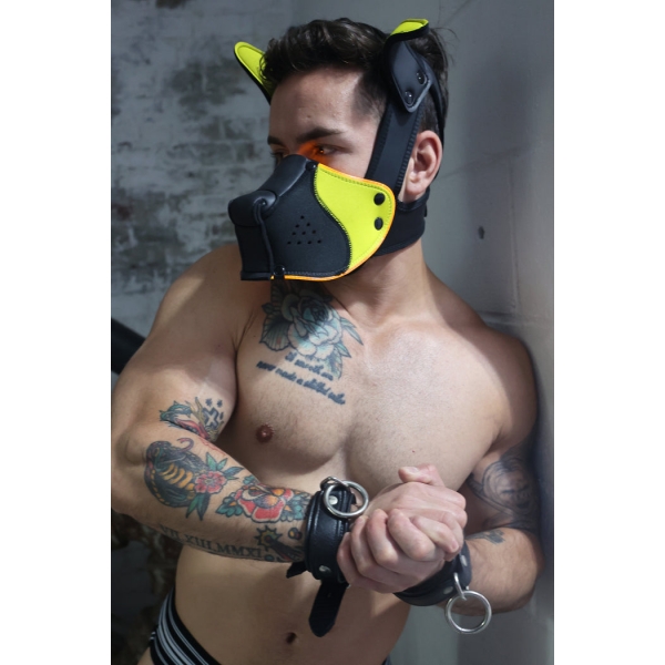 Poundtown Pup Breedwell Maske Schwarz-Gelb