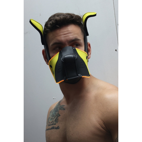 Poundtown Pup Breedwell Maske Schwarz-Gelb