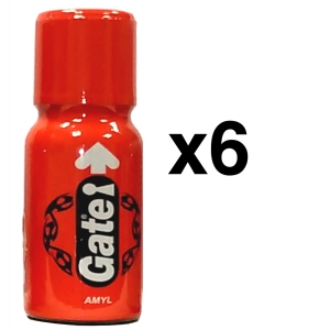 Men's Leather Cleaner GATE 15ml x6